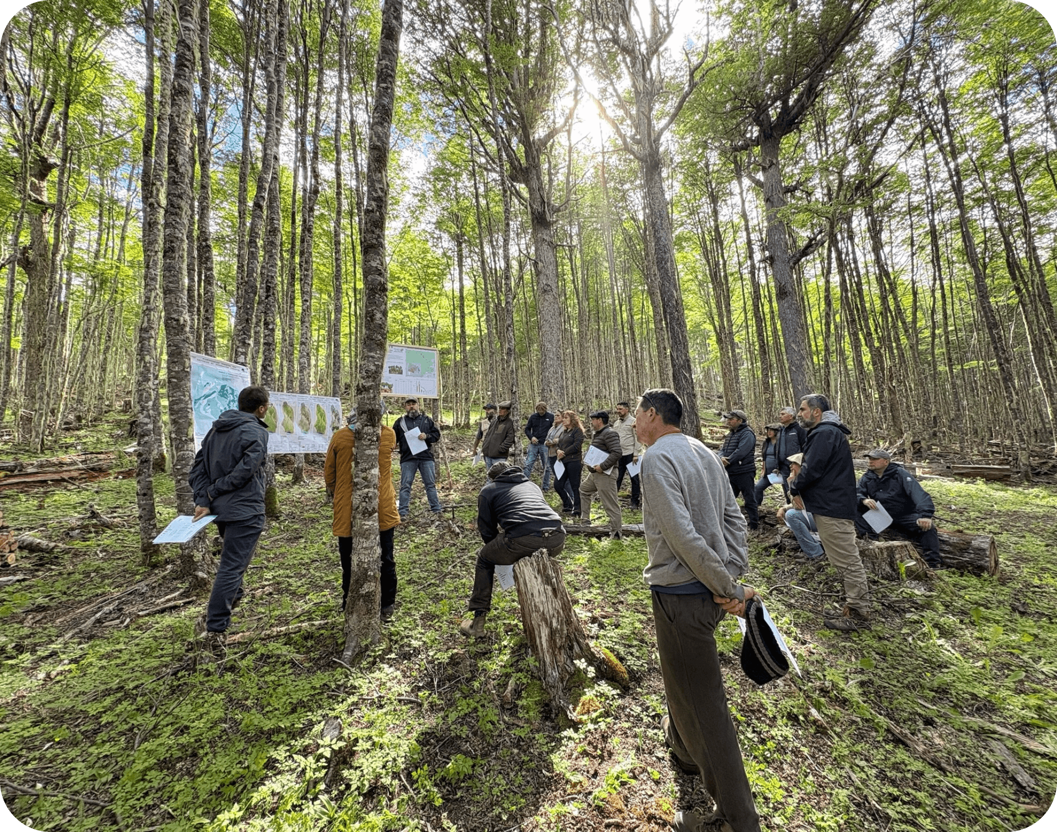 Taller en bosque: equipo revisando mapas y material colgado en árboles
