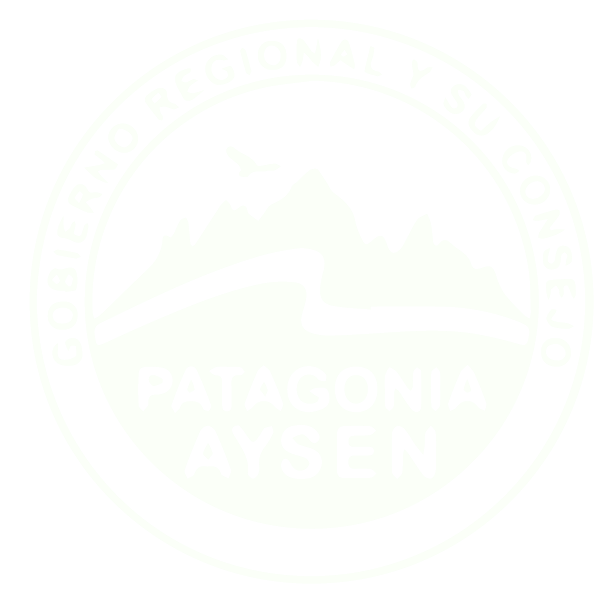 Gobierno Regional y su Consejo — Patagonia Aysén